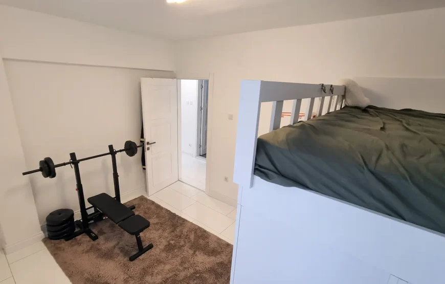 Entire house/apartment