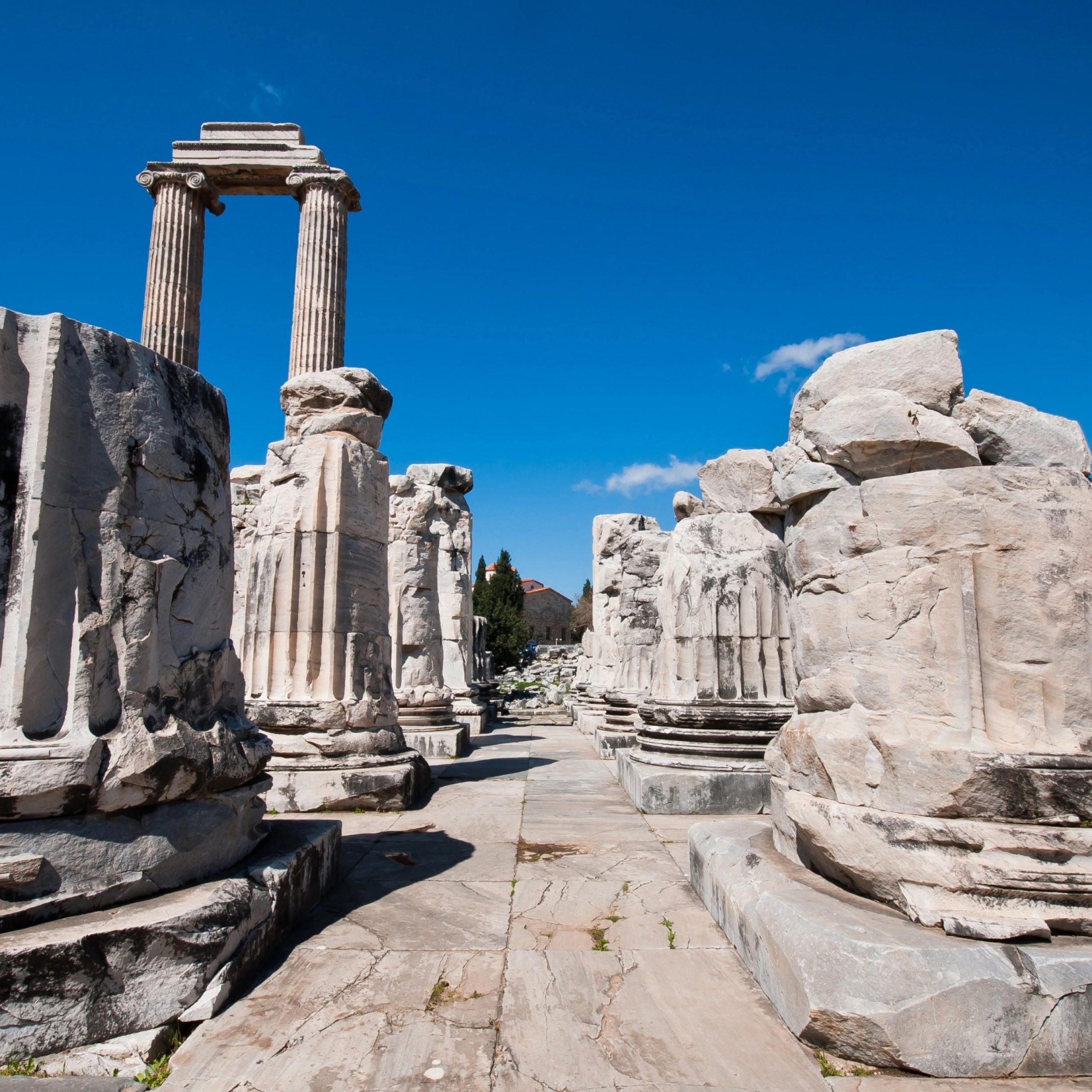 From Antalya All Region: Pamukkale Guided Day Trip with Transfer & Lunch